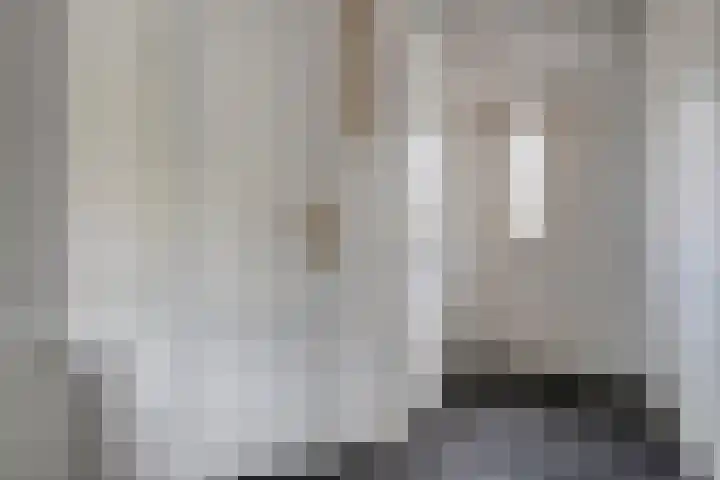 De Lint 34 Zevenbergen thumbnail 7