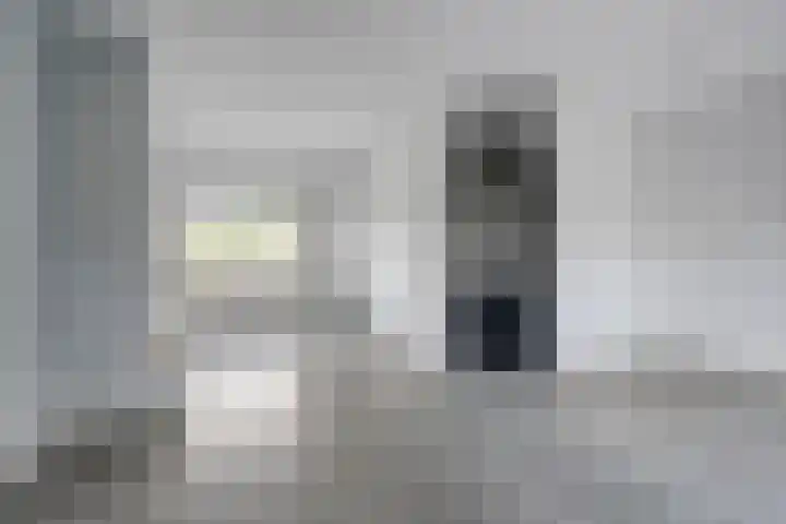 De Lint 34 Zevenbergen thumbnail 9