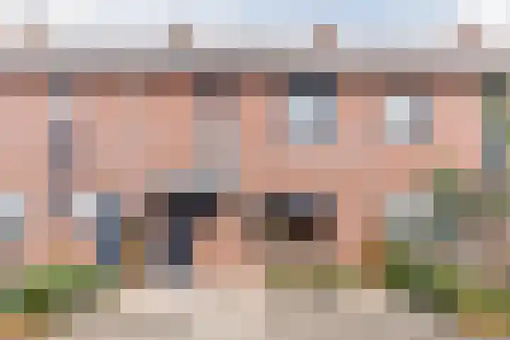 De Lint 42 Zevenbergen
