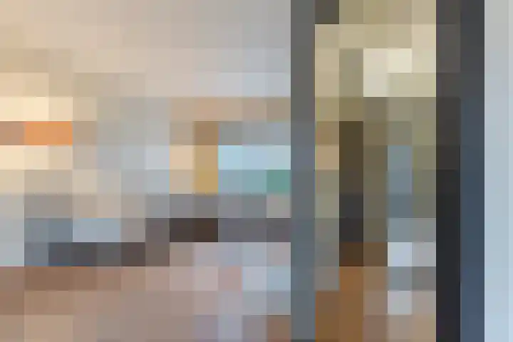 De Lint 42 Zevenbergen thumbnail 10