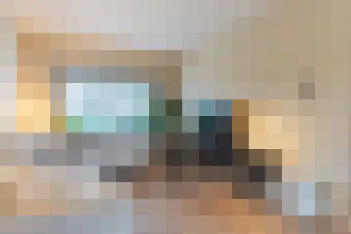 De Lint 42 Zevenbergen thumbnail 11