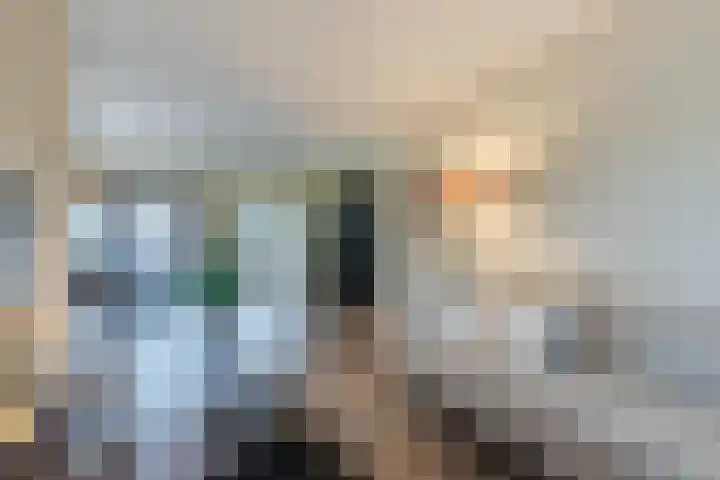 De Lint 42 Zevenbergen thumbnail 12