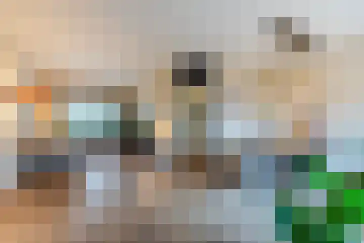 De Lint 42 Zevenbergen thumbnail 14