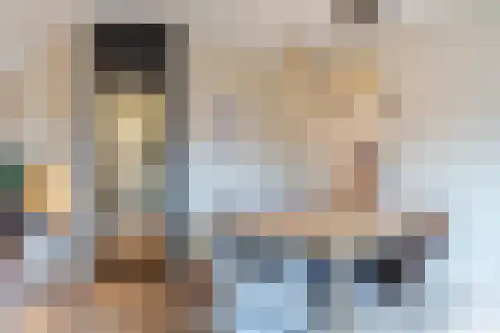 De Lint 42 Zevenbergen thumbnail 15