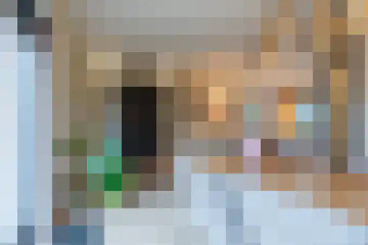 De Lint 42 Zevenbergen thumbnail 16