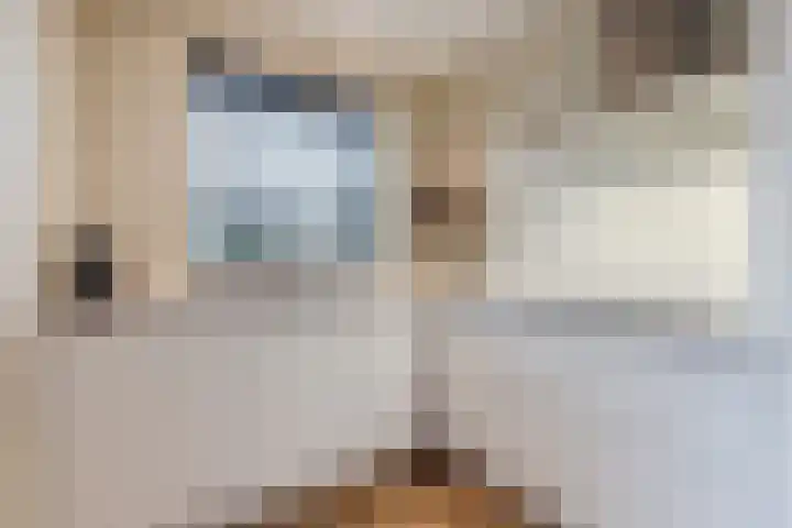 De Lint 42 Zevenbergen thumbnail 17