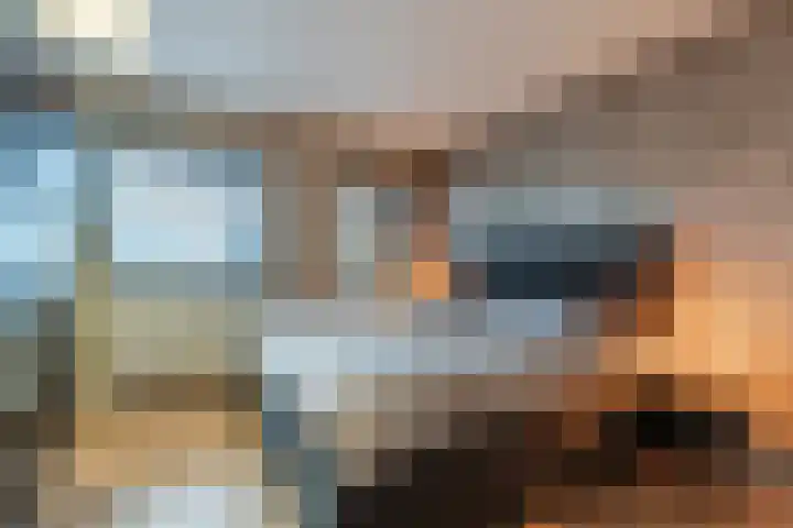 De Lint 42 Zevenbergen thumbnail 19