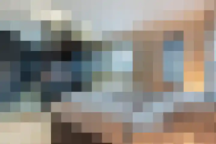 De Lint 42 Zevenbergen thumbnail 20
