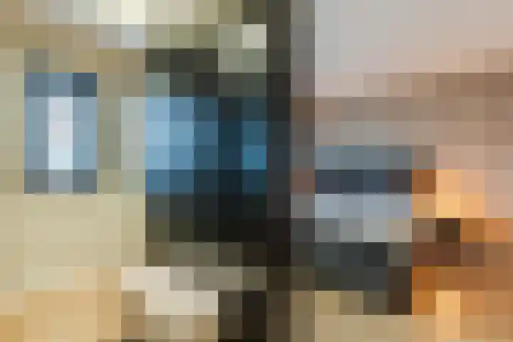 De Lint 42 Zevenbergen thumbnail 21