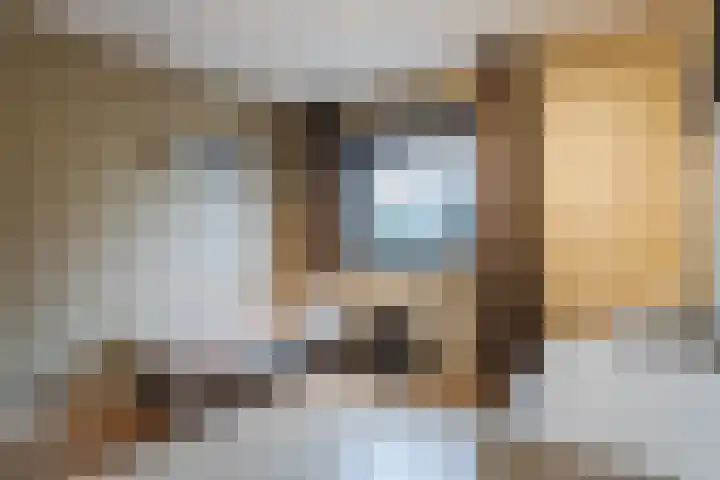 De Lint 42 Zevenbergen thumbnail 22