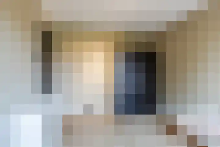 De Lint 42 Zevenbergen thumbnail 23