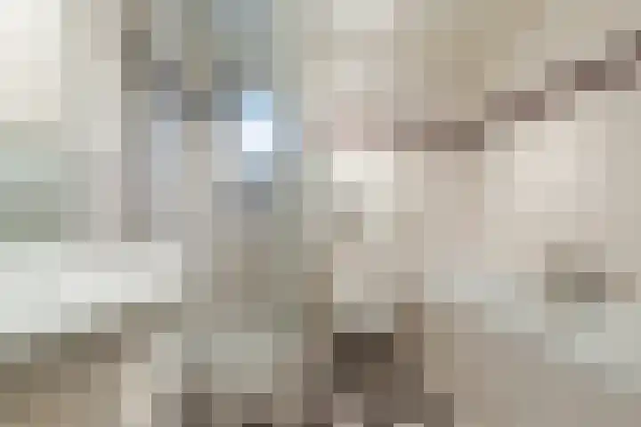 De Lint 42 Zevenbergen thumbnail 24