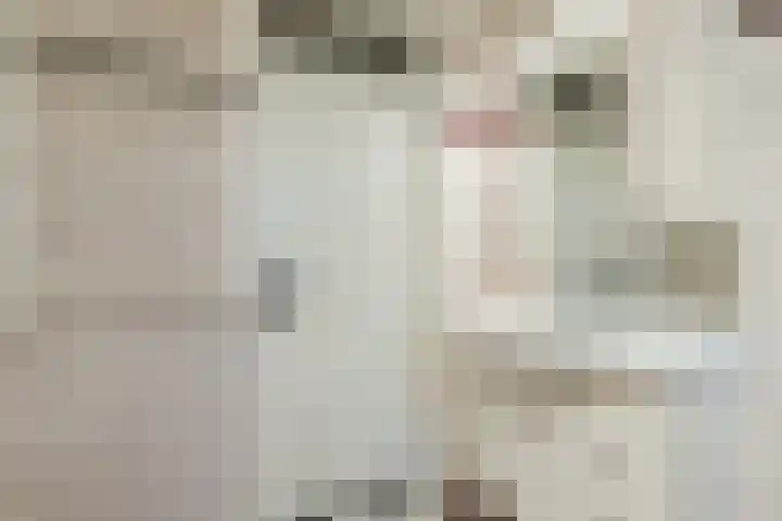 De Lint 42 Zevenbergen thumbnail 25