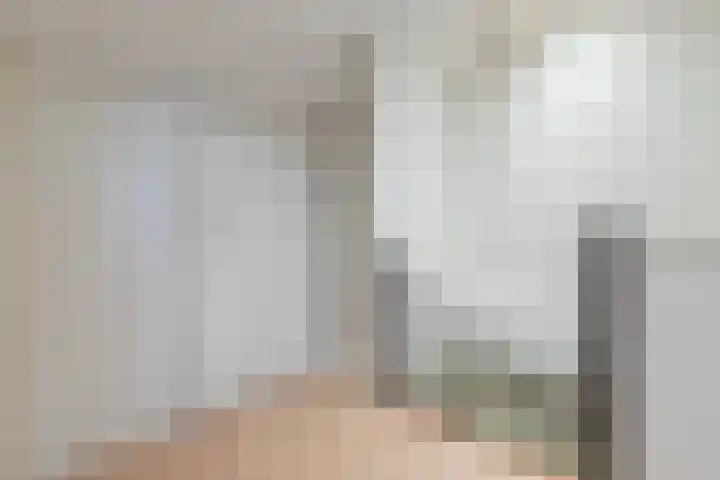 De Lint 42 Zevenbergen thumbnail 27