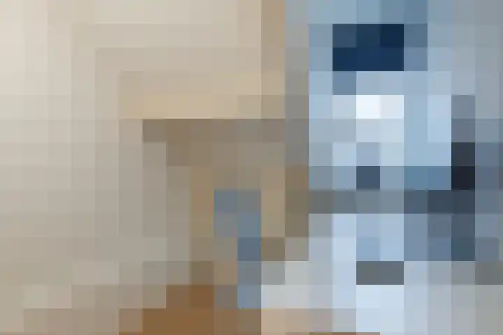 De Lint 42 Zevenbergen thumbnail 28