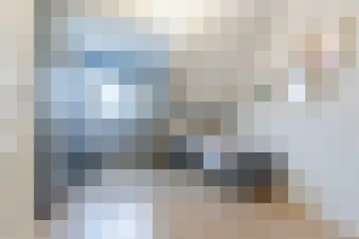 De Lint 42 Zevenbergen thumbnail 29