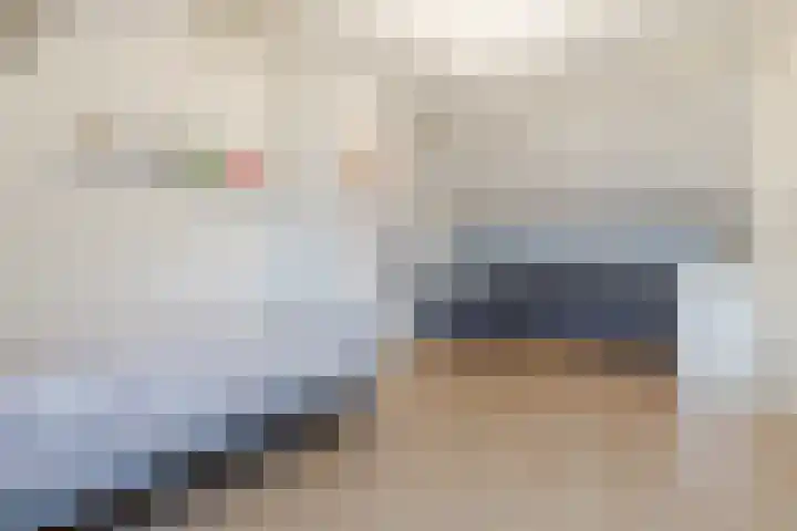 De Lint 42 Zevenbergen thumbnail 30