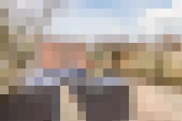 De Lint 42 Zevenbergen thumbnail 33