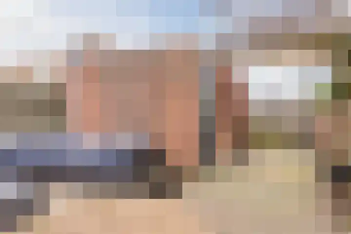 De Lint 42 Zevenbergen thumbnail 34
