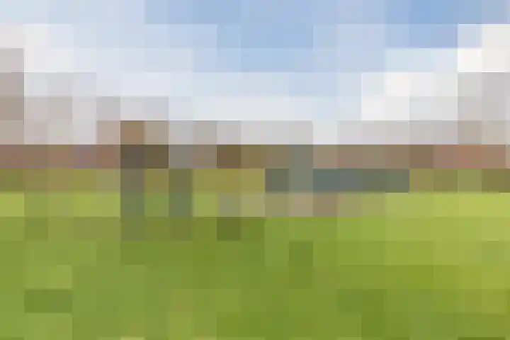 De Lint 42 Zevenbergen thumbnail 35