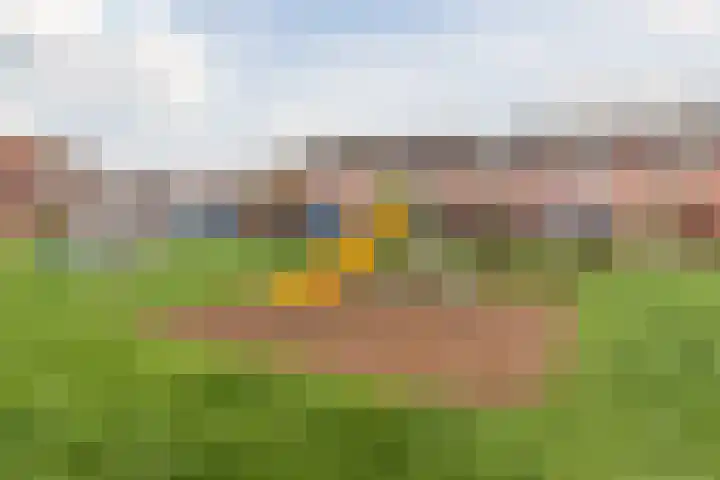 De Lint 42 Zevenbergen thumbnail 36