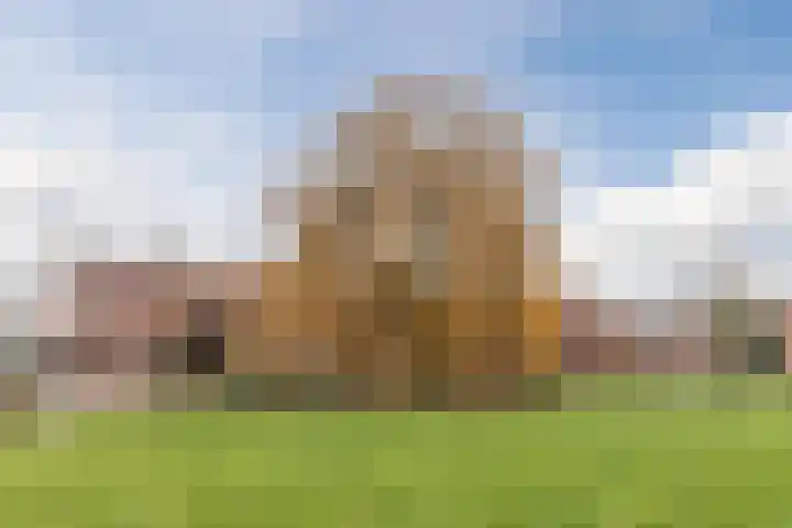 De Lint 42 Zevenbergen thumbnail 37