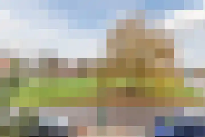 De Lint 42 Zevenbergen thumbnail 4