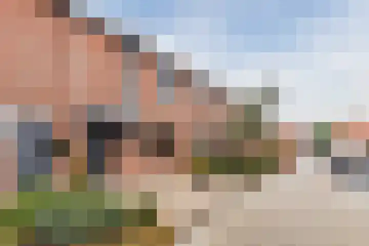 De Lint 42 Zevenbergen thumbnail 7