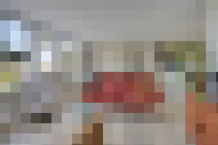 De Lipizzaner 22 Dronten thumbnail 10