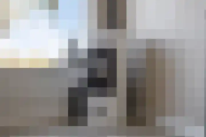 De Lipizzaner 22 Dronten thumbnail 11