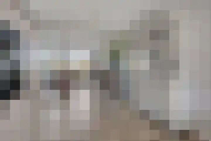 De Lipizzaner 22 Dronten thumbnail 14