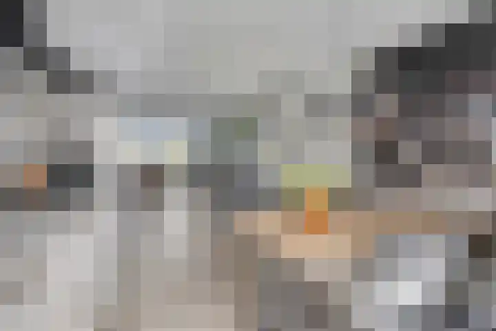 De Lipizzaner 22 Dronten thumbnail 15