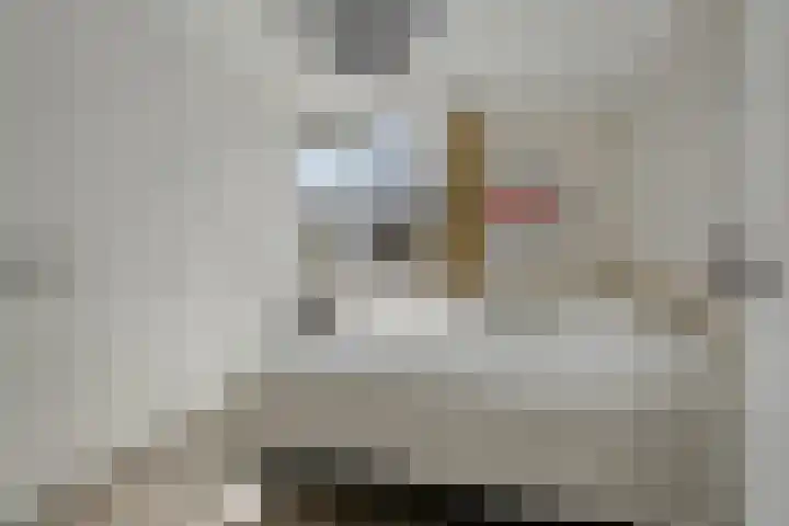 De Lipizzaner 22 Dronten thumbnail 17