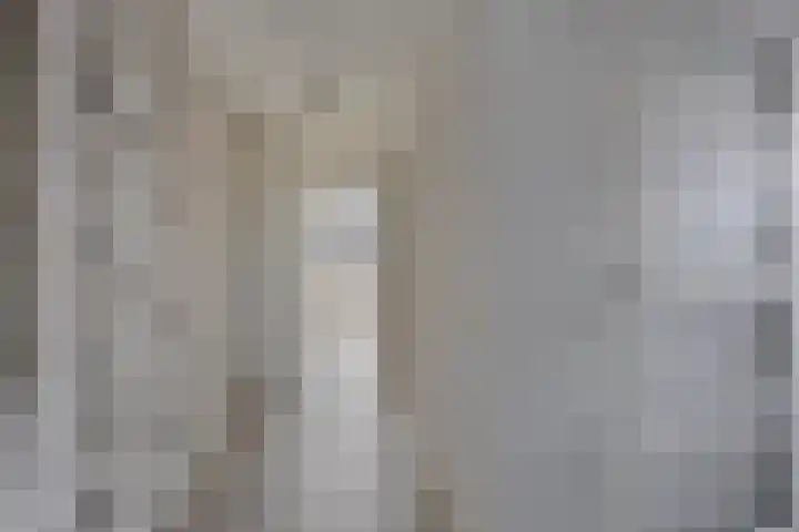 De Lipizzaner 22 Dronten thumbnail 21