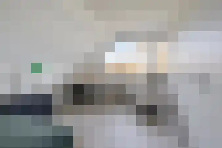 De Lipizzaner 22 Dronten thumbnail 22
