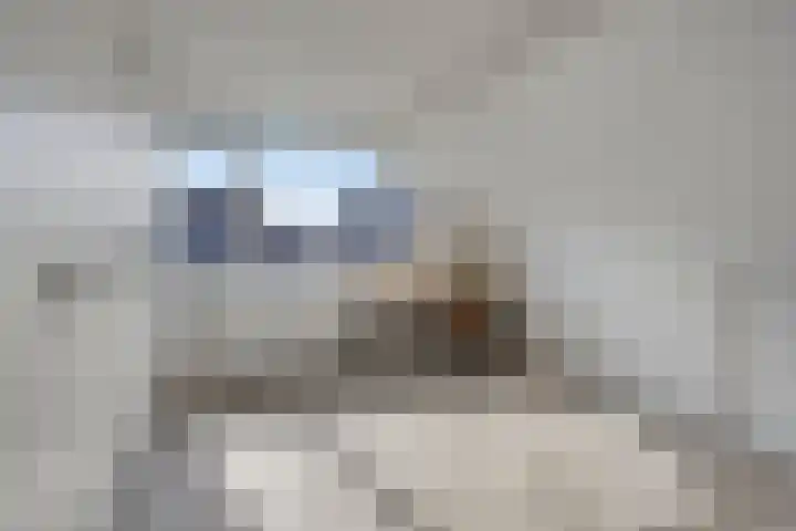 De Lipizzaner 22 Dronten thumbnail 24