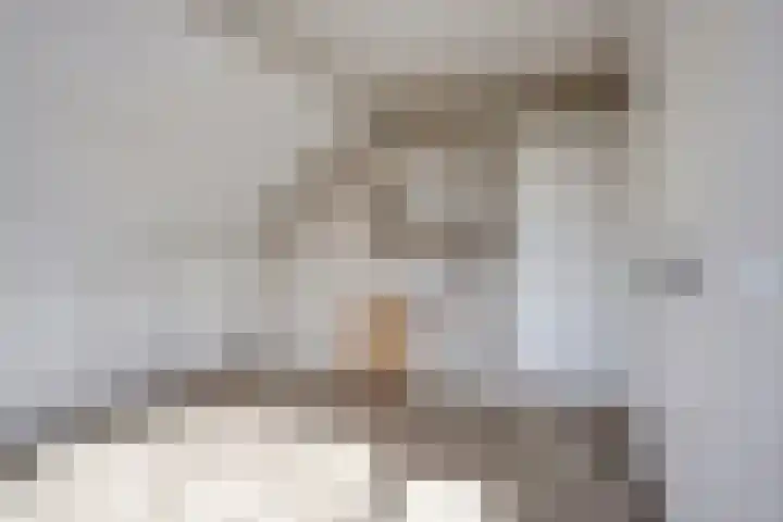 De Lipizzaner 22 Dronten thumbnail 25