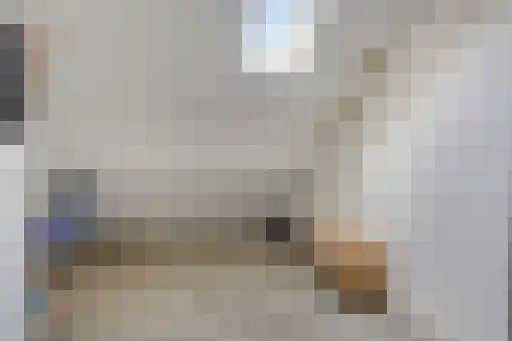 De Lipizzaner 22 Dronten thumbnail 26