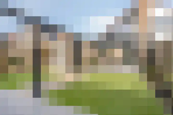 De Lipizzaner 22 Dronten thumbnail 29