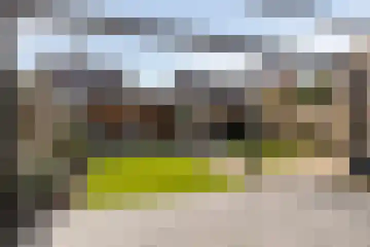 De Lipizzaner 22 Dronten thumbnail 31