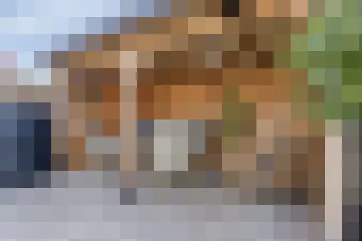 De Lipizzaner 22 Dronten thumbnail 32