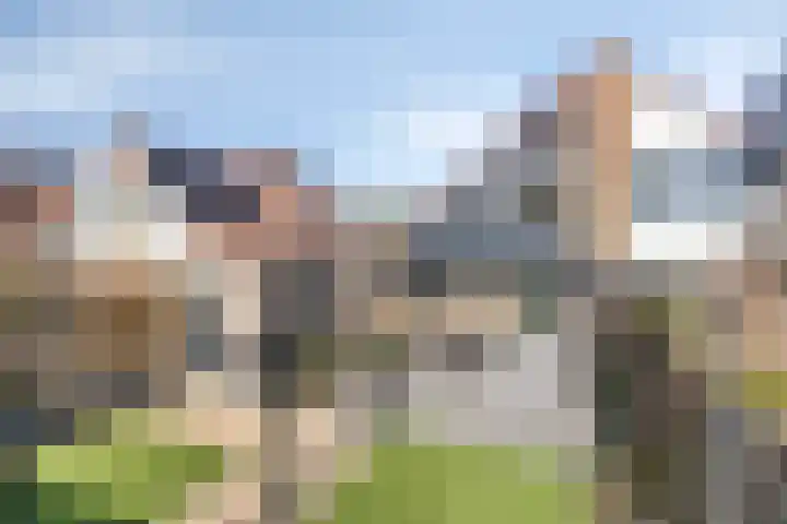 De Lipizzaner 22 Dronten thumbnail 33