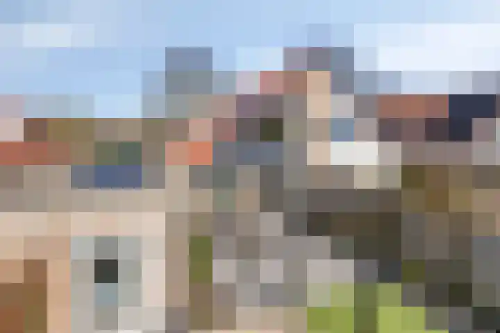 De Lipizzaner 22 Dronten thumbnail 34