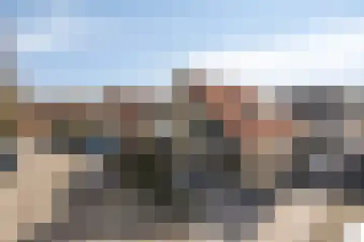 De Lipizzaner 22 Dronten thumbnail 35