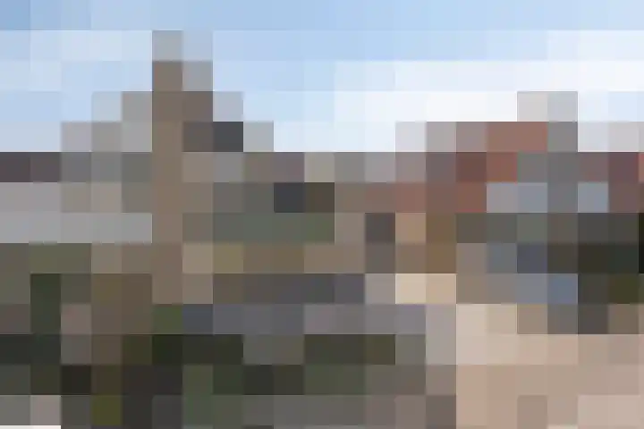 De Lipizzaner 22 Dronten thumbnail 36