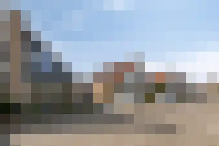 De Lipizzaner 22 Dronten thumbnail 39