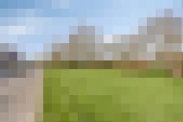 De Lipizzaner 22 Dronten thumbnail 41