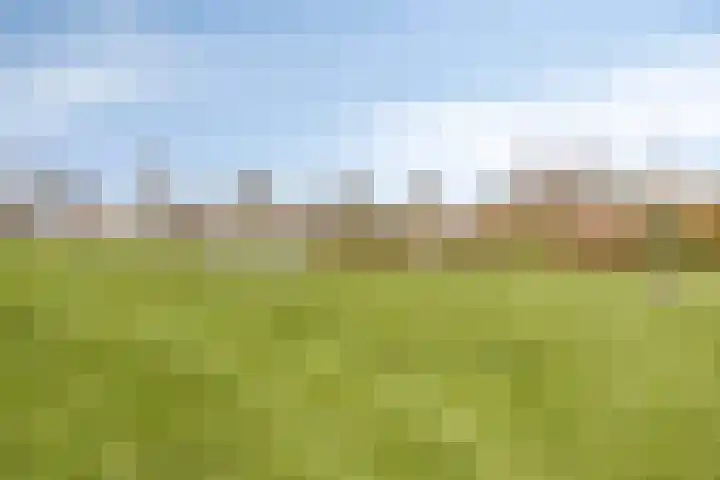 De Lipizzaner 22 Dronten thumbnail 42