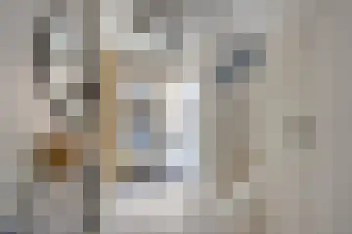 De Lipizzaner 22 Dronten thumbnail 6