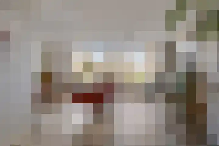 De Lipizzaner 22 Dronten thumbnail 8